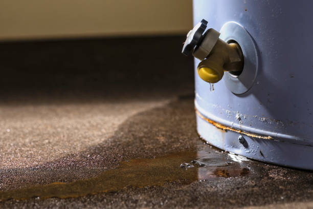 Best Sewage cleanup and water damage restoration  in Nichols Hills, OK