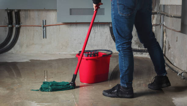 Best Ceiling water damage repair  in Nichols Hills, OK