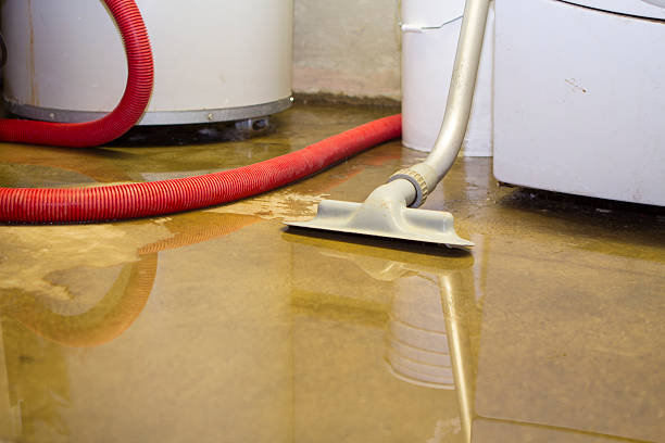 Best Water damage cleanup near me  in Nichols Hills, OK