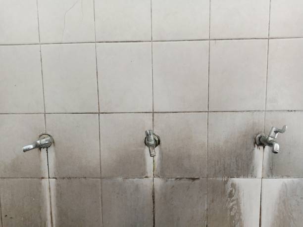 Best Water damage contractors near me  in Nichols Hills, OK