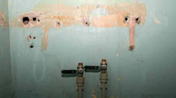 Best Water damage restoration near me  in Nichols Hills, OK