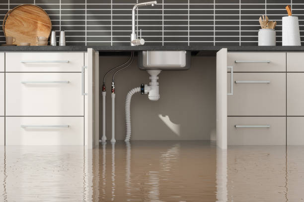 Best Water damage cleanup near me  in Nichols Hills, OK